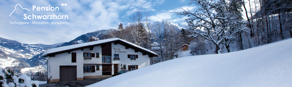 Panoramabild Pension Schwarzhorn