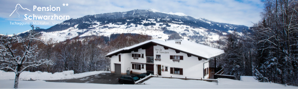 Panoramabild Pension Schwarzhorn